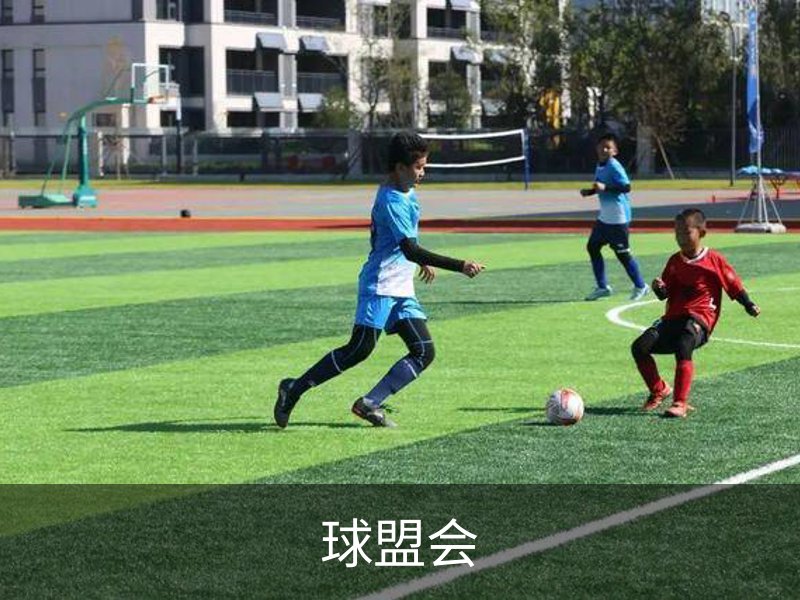 走进球盟会